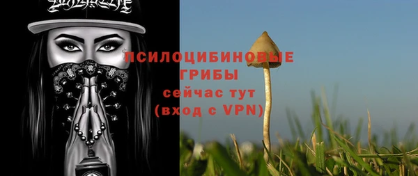 mdpv Мегион