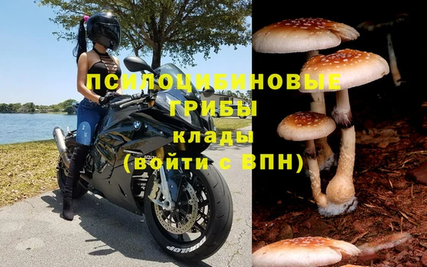 mdpv Мегион